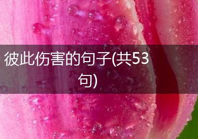 彼此伤害的句子(共53句)