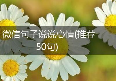 微信句子说说心情(推荐50句)