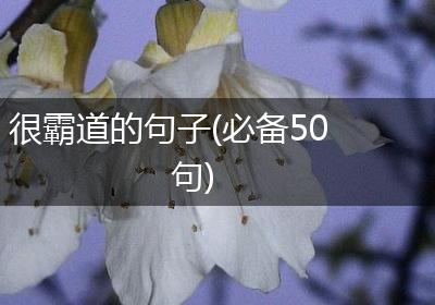 很霸道的句子(必备50句)