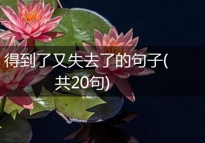 得到了又失去了的句子(共20句)
