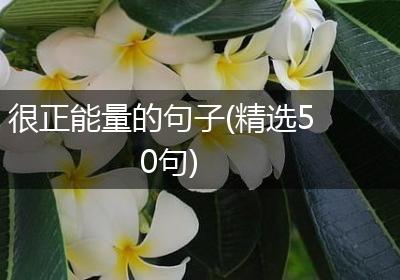 很正能量的句子(精选50句)