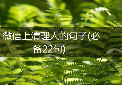 微信上清理人的句子(必备22句)