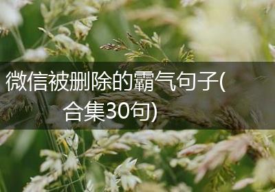 微信被删除的霸气句子(合集30句)