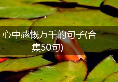 心中感慨万千的句子(合集50句)