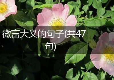 微言大义的句子(共47句)