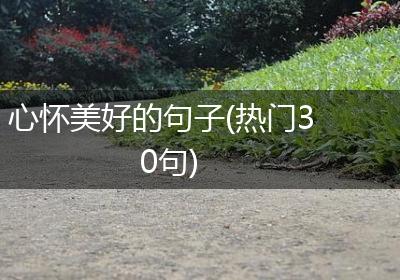 心怀美好的句子(热门30句)