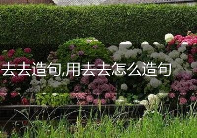 去去造句,用去去怎么造句