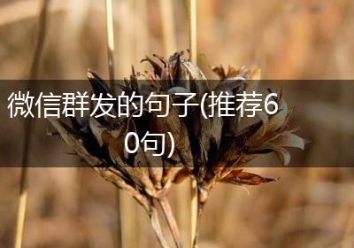 微信群发的句子(推荐60句)