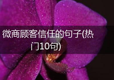 微商顾客信任的句子(热门10句)