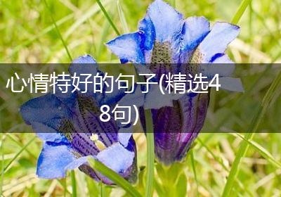 心情特好的句子(精选48句)