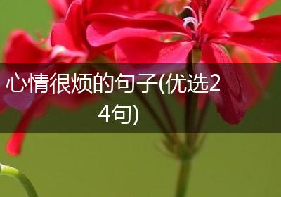 心情很烦的句子(优选24句)