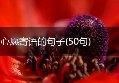 心愿寄语的句子(50句)