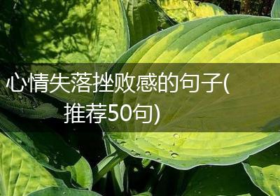 心情失落挫败感的句子(推荐50句)