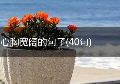 心胸宽阔的句子(40句)