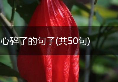 心碎了的句子(共50句)