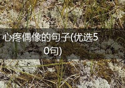 心疼偶像的句子(优选50句)