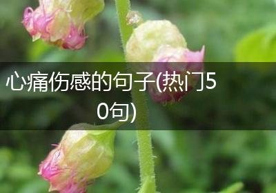 心痛伤感的句子(热门50句)