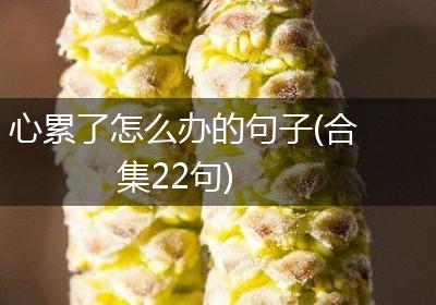 心累了怎么办的句子(合集22句)