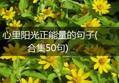 心里阳光正能量的句子(合集50句)