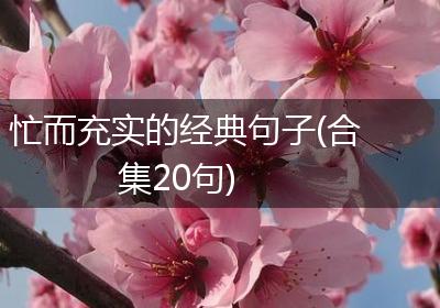 忙而充实的经典句子(合集20句)