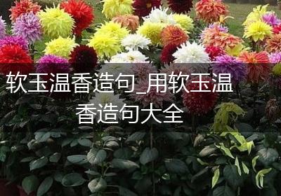 软玉温香造句_用软玉温香造句大全