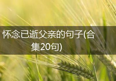 怀念已逝父亲的句子(合集20句)
