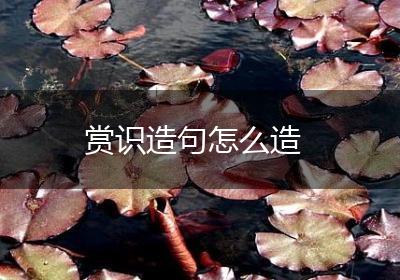 赏识造句怎么造