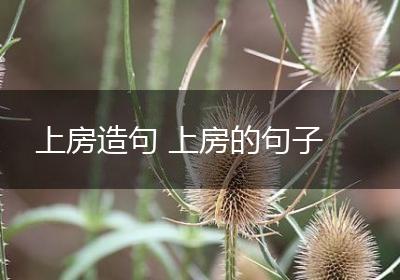 上房造句 上房的句子