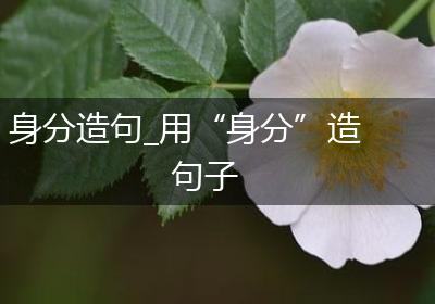 身分造句_用“身分”造句子