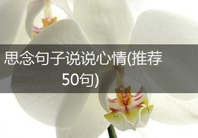 思念句子说说心情(推荐50句)