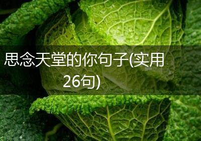 思念天堂的你句子(实用26句)