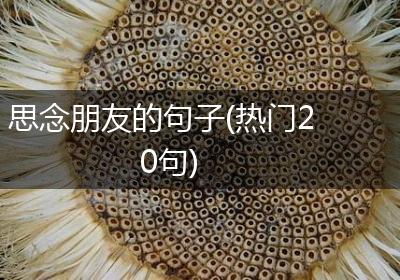思念朋友的句子(热门20句)