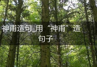 神甫造句_用“神甫”造句子