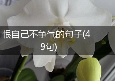 恨自己不争气的句子(49句)