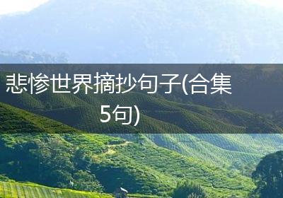 悲惨世界摘抄句子(合集5句)