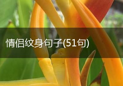 情侣纹身句子(51句)