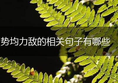 势均力敌的相关句子有哪些