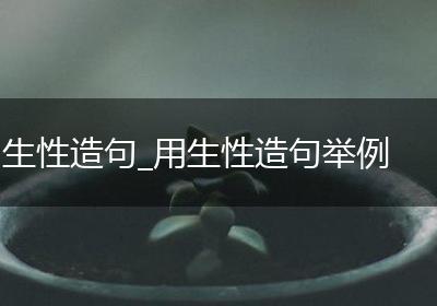 生性造句_用生性造句举例