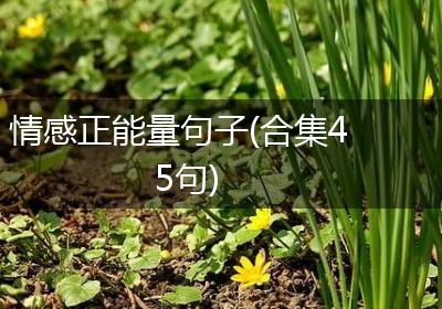 情感正能量句子(合集45句)