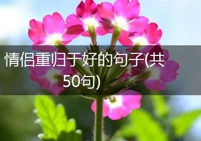情侣重归于好的句子(共50句)