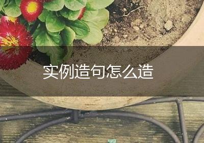 实例造句怎么造