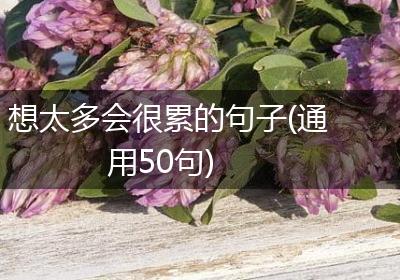 想太多会很累的句子(通用50句)