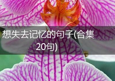 想失去记忆的句子(合集20句)