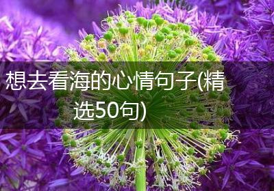 想去看海的心情句子(精选50句)