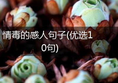 情毒的感人句子(优选10句)