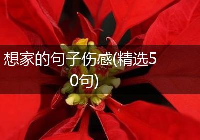 想家的句子伤感(精选50句)