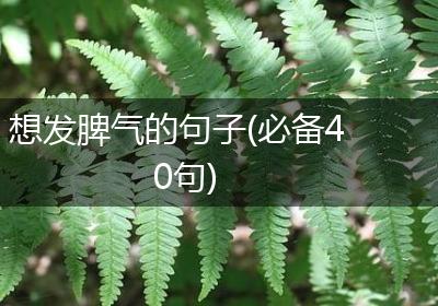 想发脾气的句子(必备40句)