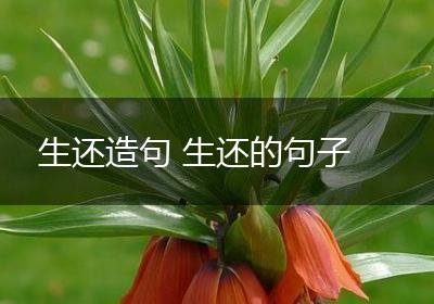 生还造句 生还的句子