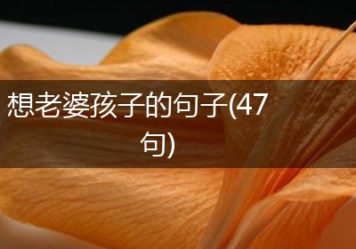 想老婆孩子的句子(47句)