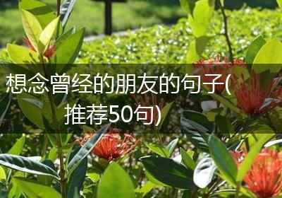想念曾经的朋友的句子(推荐50句)